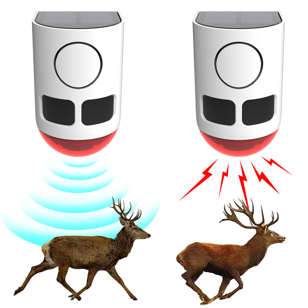 Alarm Sensor Gerak Luar Ruanga - Home Security Yard Sensors ulasan dan harga