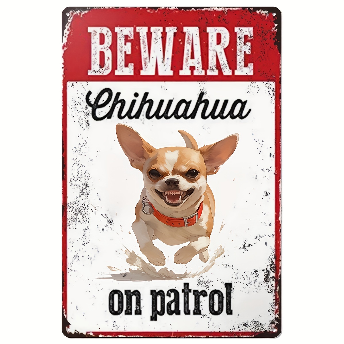 Hati-hati dengan Chihuahua Saa - Home Security Outdoor ulasan dan harga