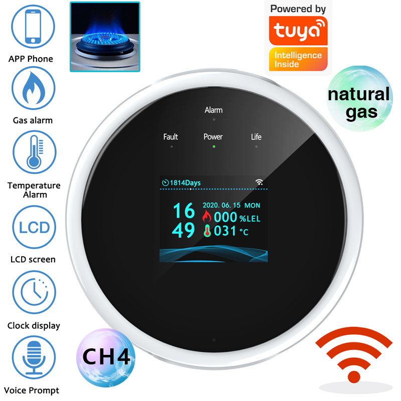 Sensor Alarm Gas WiFi 2.4G Det - Home Security Upgrades ulasan dan harga