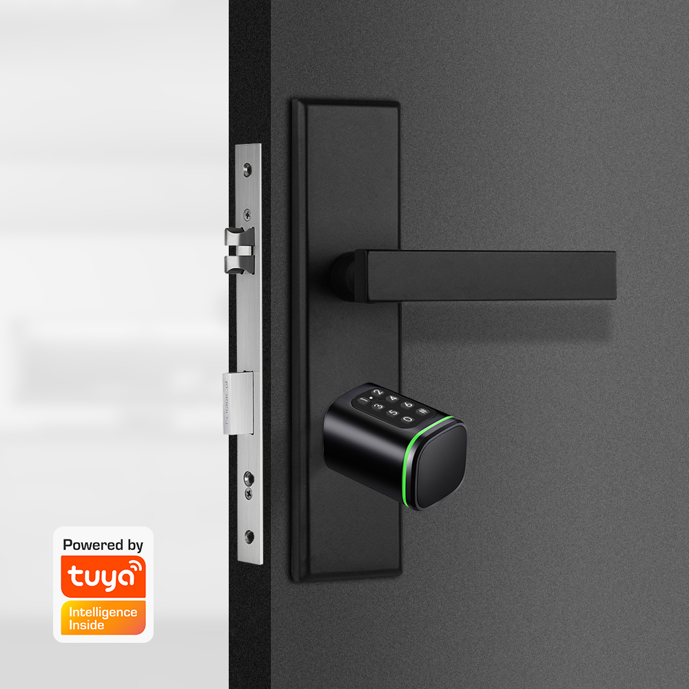 Kunci Silinder Pintar Tuya 60- - Home Security Battery ulasan dan harga